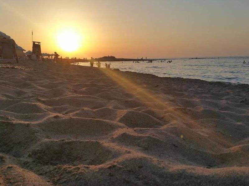 D2AA53E0D9FAE3AF6B09C51E159C0944