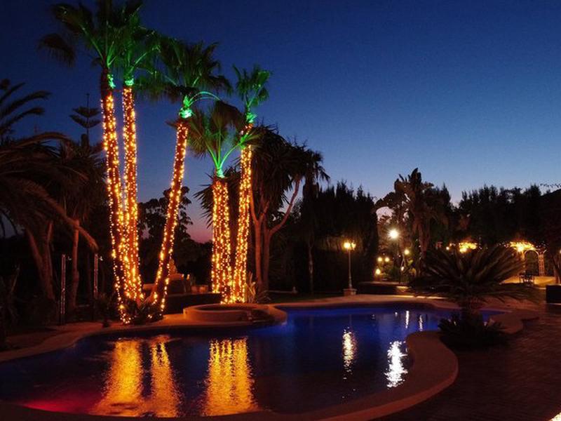 FEA337F9A45A576EF81D47D6A71A05FF