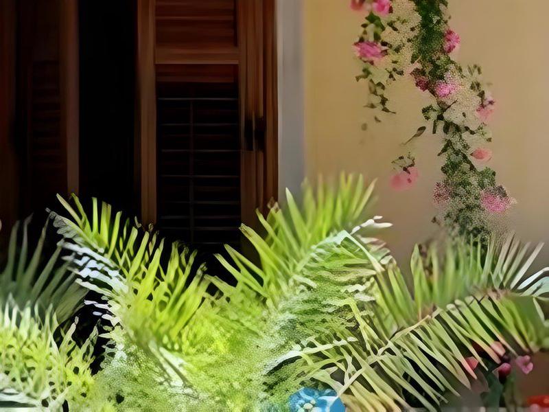 00660C40D556862B006CF145E169EFC2