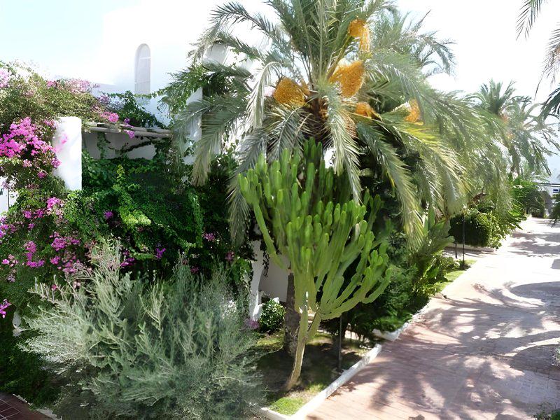 8BB0CC05EB2AA651198F46D5137E1D0E