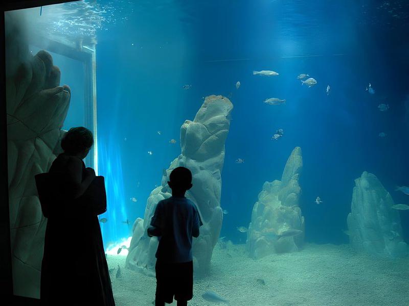 4FBE5C8AE82A021A20CCF93F65CF6EBA