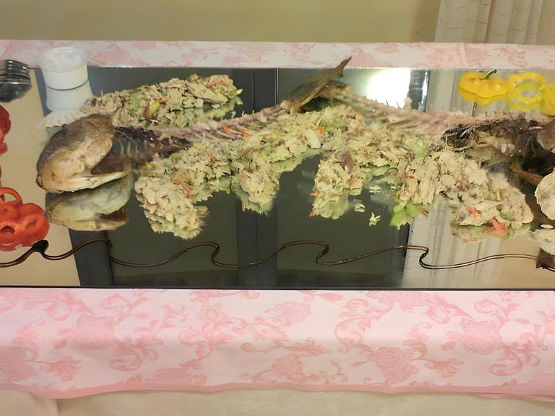 513A61CA7F18E53F01D3A0725B6B4599