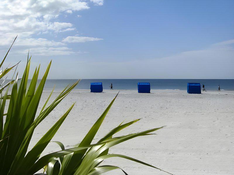 8DCA16A94DFA0E0FE1DA39013865C2FE