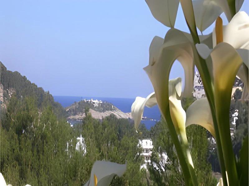 80EB5E767975538A9F659F7B01E82DFE