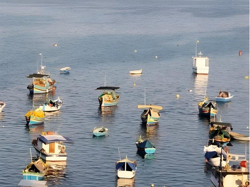 11A80E130E47996986C7BA754AF2F89A