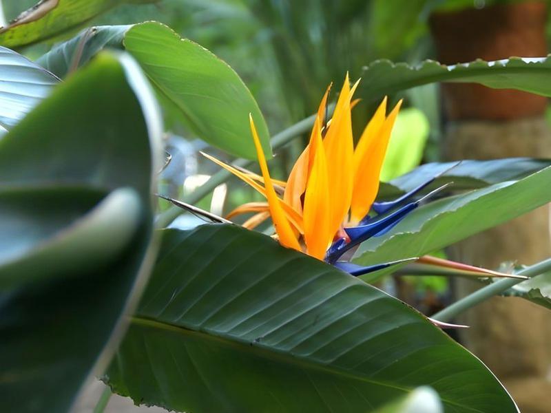 C2C9D13A323EC6AD978E9E640A95B2F5