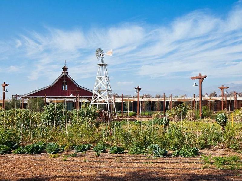 39EADD476DBD2822E9F78902C21CD651