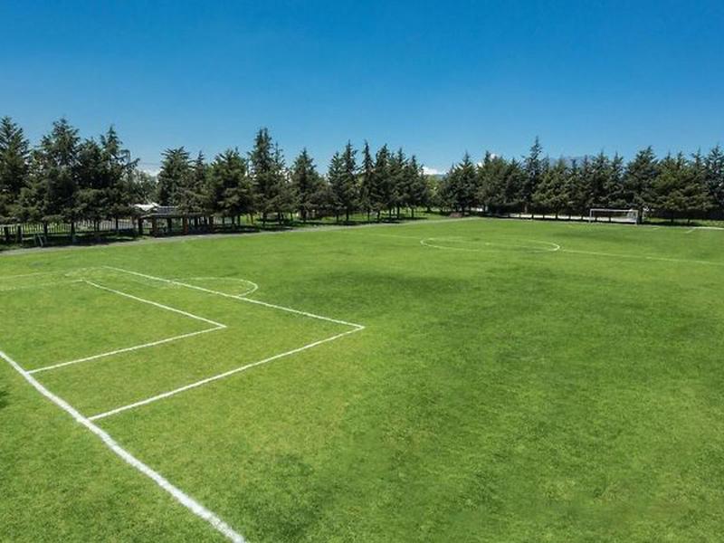 B741A35A06E70B0B1D3FB8BDA1FCC493