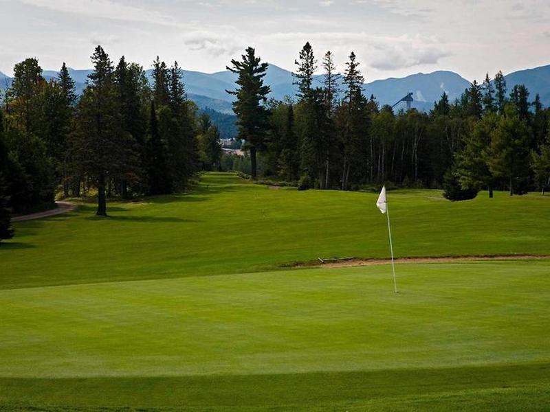 68BA06ABC03C08A37C5B9989F7DB209F