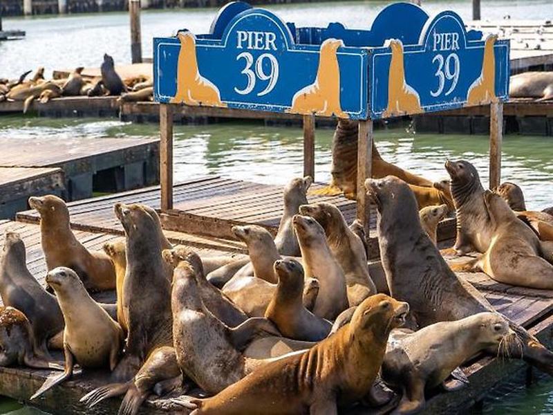 21CE1AB75BD6CFBAAB7A088282AC5A99