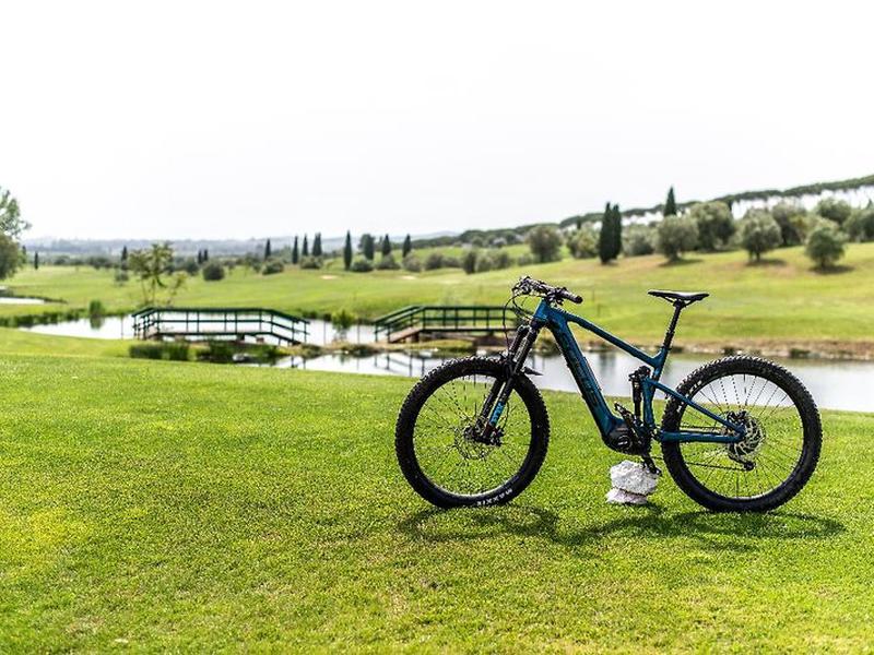 F3935F73527B2D0CA774CDAF2B45E91E