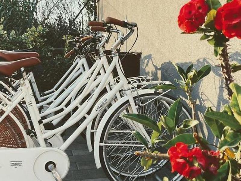 79C77E9FF6600053F67F645996ECCD78