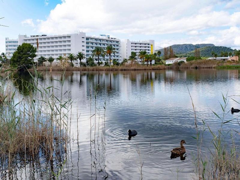 6E655DEEF907BDE1A8C84F0045DB2C23