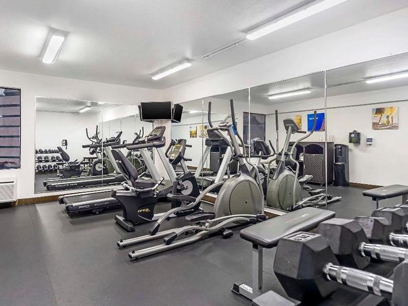 243106D3B62410B3CDFEF7011C4851A0