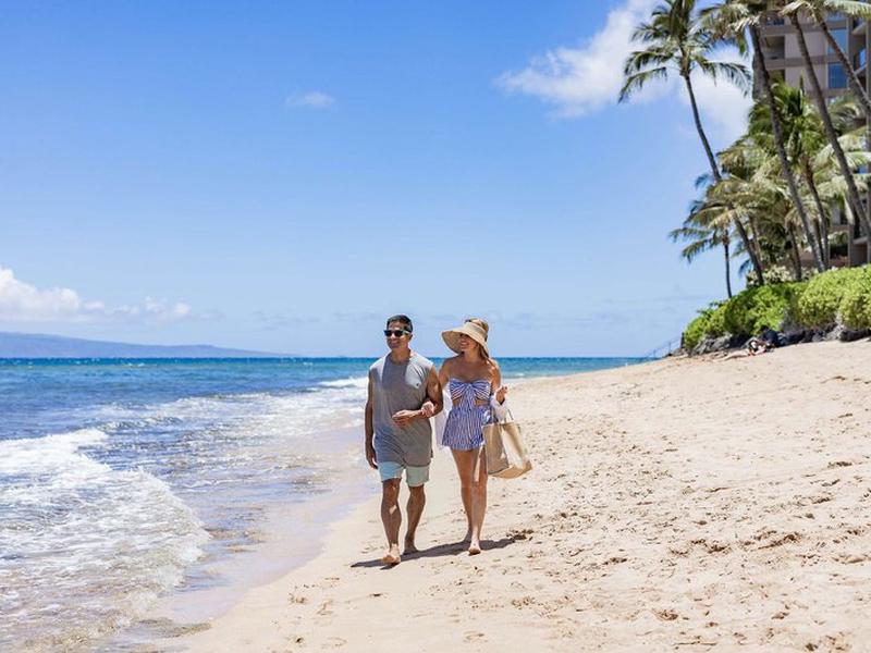 2BCCB7E9562E1AAC60B0181A937FE0D4