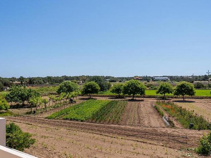 0703FD9261F941A40A215DE2B4385D42