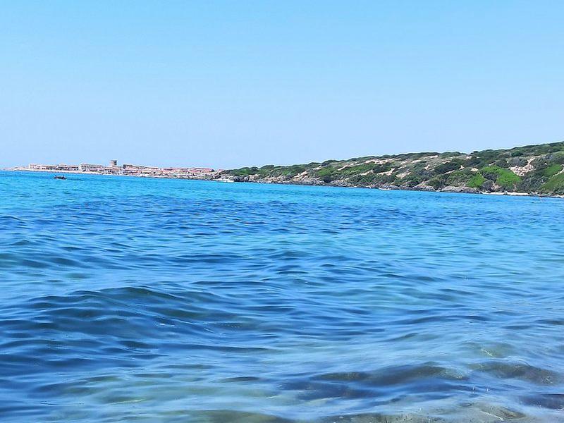 9E303FD3F517A45D933262F9665E480D