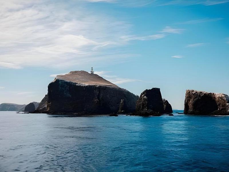 6D00DAAC4524B5C4D3570E042ECB5D4D