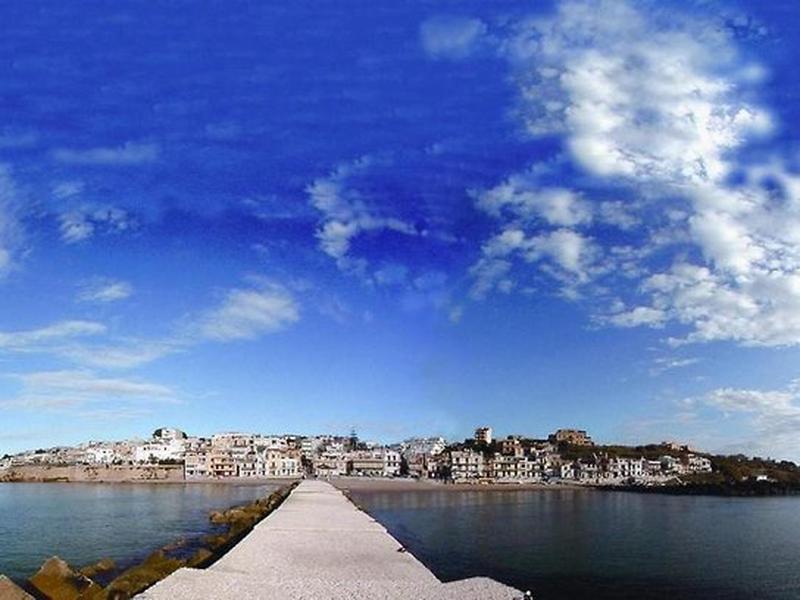 E31D0E013CB41362AC2DDF20F93DF049