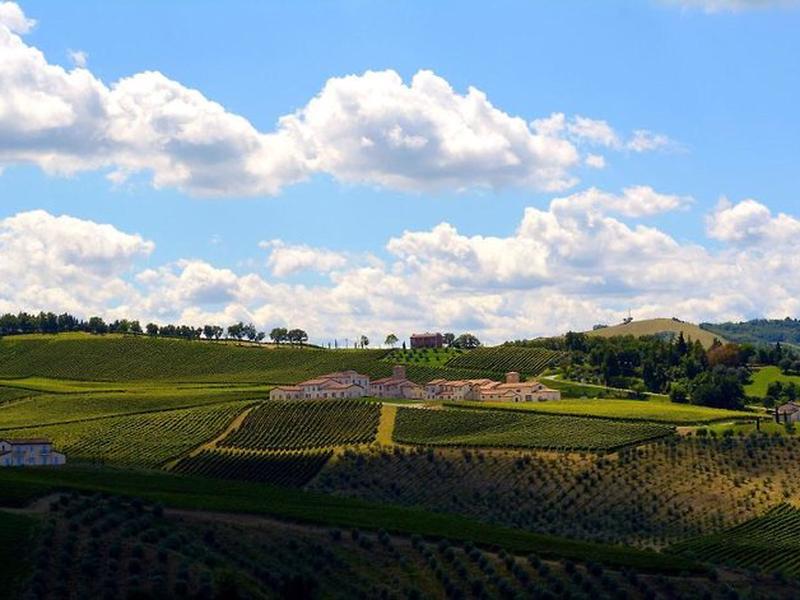 553BBF1E081AE87C41395CA54C28EDE2