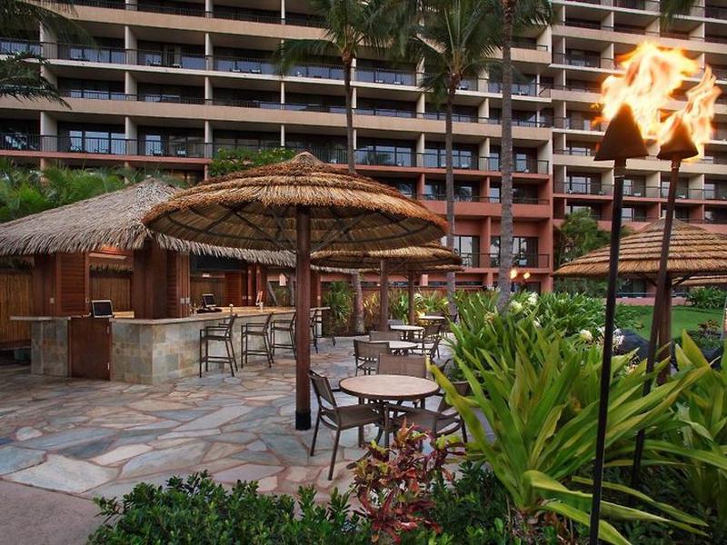 8AB5E522A52527FF2E0E858E5574A77A