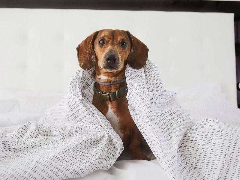 7E78971DD7C8CAB08C4C47EA3E540695