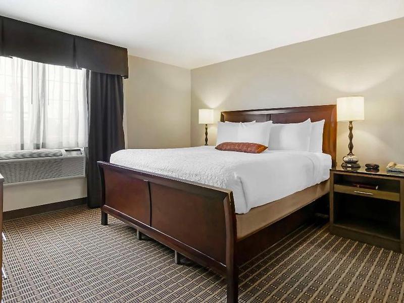 0D50C21EB0CF987CF41360FB733804A9