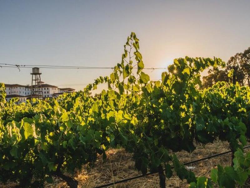 2C170864CEFFD55837E6E001317480FE