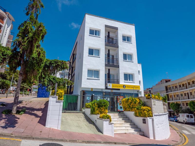 B253E3497D5E8073F92C85D43CFF21A2