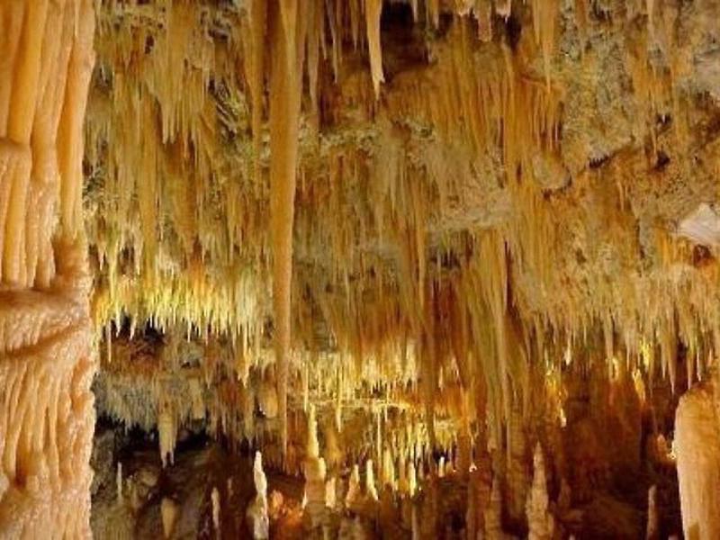 F6F1D6CEB582367FF2F09D9E71FB3865