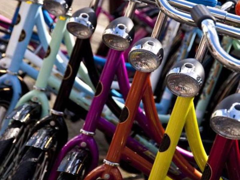 B3B464E2374DA0885F9439E43E8A16E1