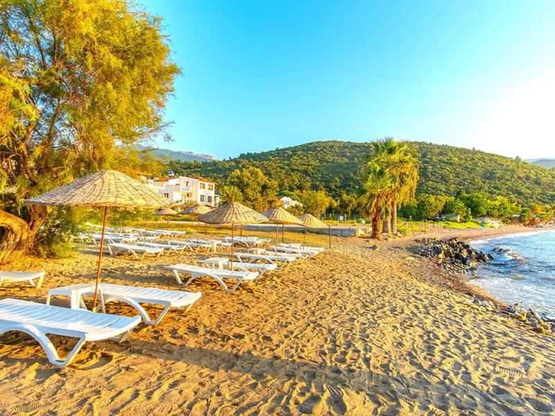 91D389FB2F5C6BEBD6ED64EEB299563C