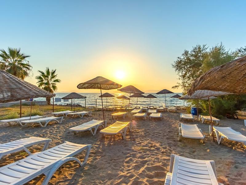 7D0C288CAEB42F288F37DD32502A59F0