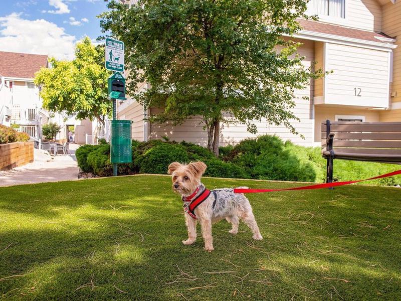 95D2781AAA07C8A15169007EC17494A1