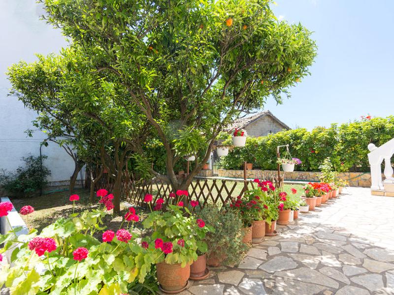 68F6BC55019E2CCC015D295411F9C065