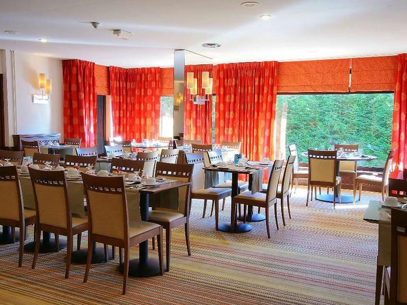 242D37CC3333D908A7D6E943FC9F5028