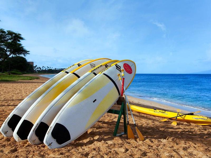 C42C5A3573A6F7714809C923E14A1B23