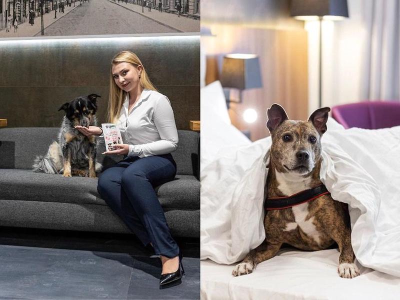 78A5E7D8C72481CF2521505A23526445