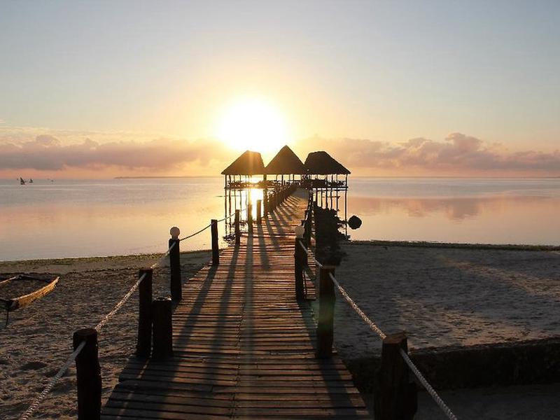 31BCCE6AEB81D0B07907DF8408F551F0