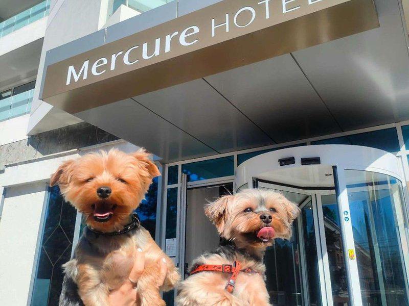 64A24DA0FF7758A539822B6E8DECFCAE