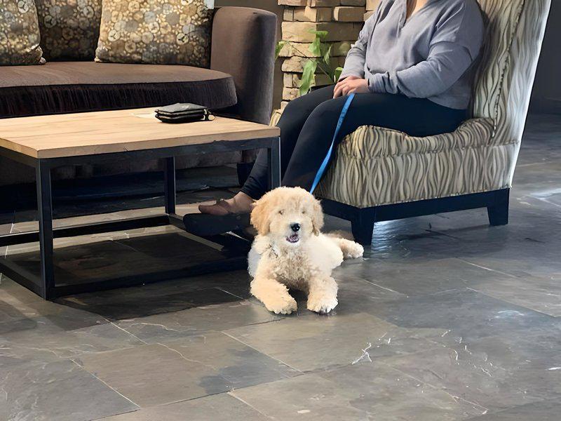 B714CB6DCB4728D8C0D9C959639D57BC