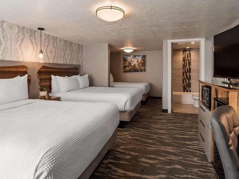 52000EEE88B173DD79290628EDFF0303