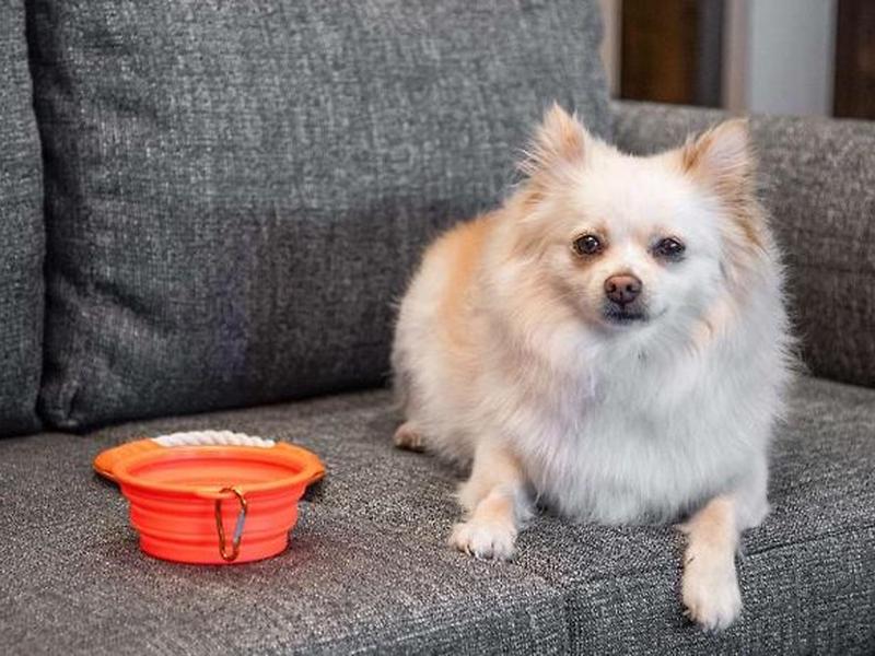 14F0F729E65D1F88B64232DBB61C1539