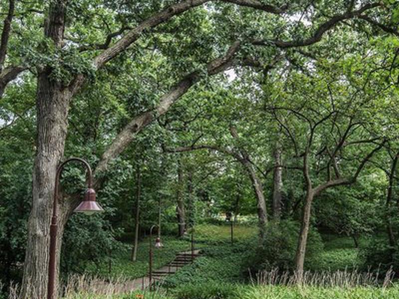 C1E58C7D01F20A15007B89B0C075ABB2