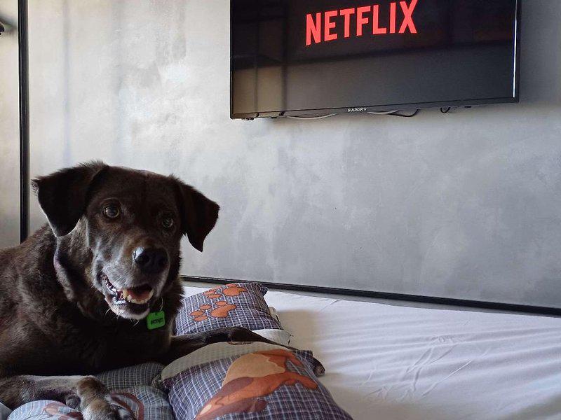 B5EDD379EE392B5EFCDA06EABE7905C9