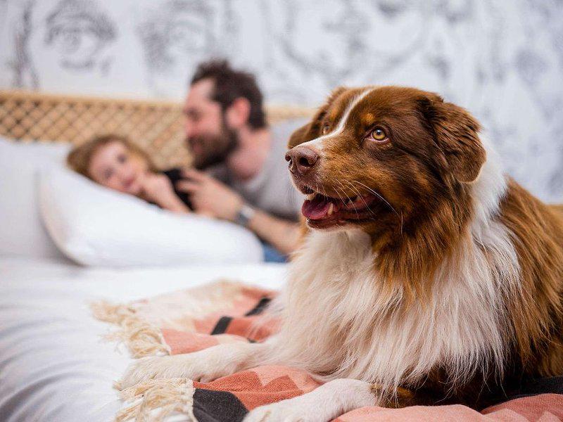 0FB258B8047B2B8717B4BC02B4B61BE9