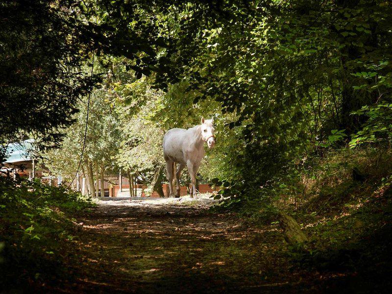 93E1402D292095C1017269897C433B6C