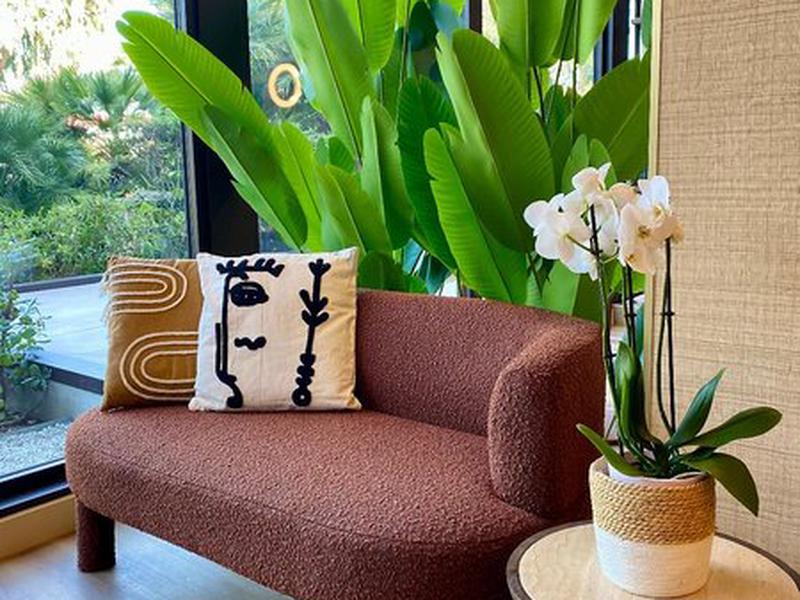 12022381DE095A124CAF79D7F5833169