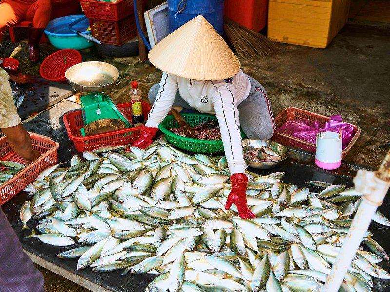 7158F2434E7CBC95DFFE4F224ACCB89F