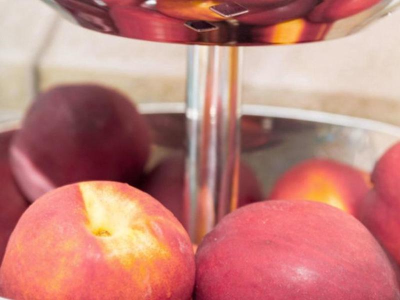 CE662825D26D9B1A3EC6A9737170E8FA